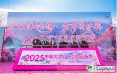 2025ɽNʽĻ,TƱͨ·